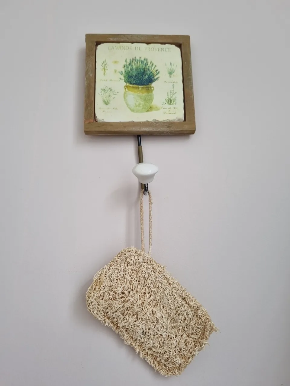 Compra un estropajo de fibra de coco o de luffa 2 Comunidad