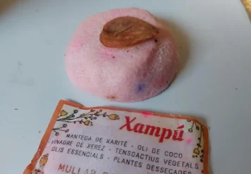 Cámbiate al champú sólido 1 Comunidad