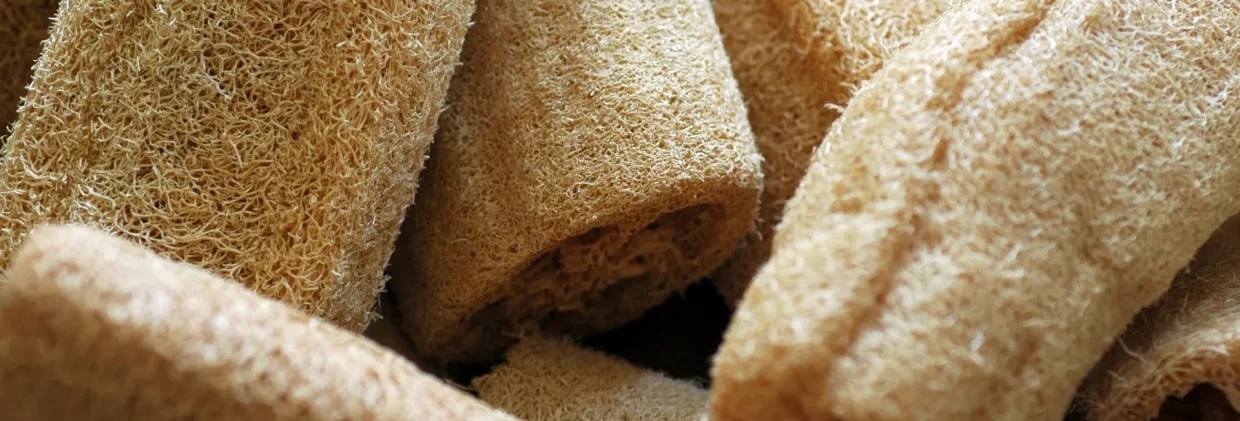 Compra un estropajo de fibra de coco o de luffa