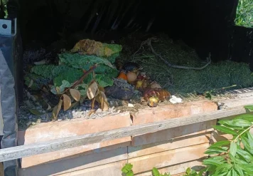 Haz compost casero 1 Comunidad
