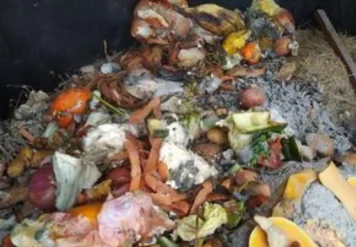 Haz compost casero 3 Comunidad