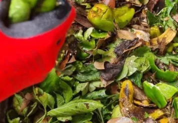 Haz compost casero compost caseroplo 2 Comunidad